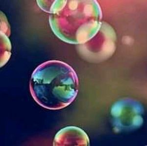 Meet your Posher, Darcy